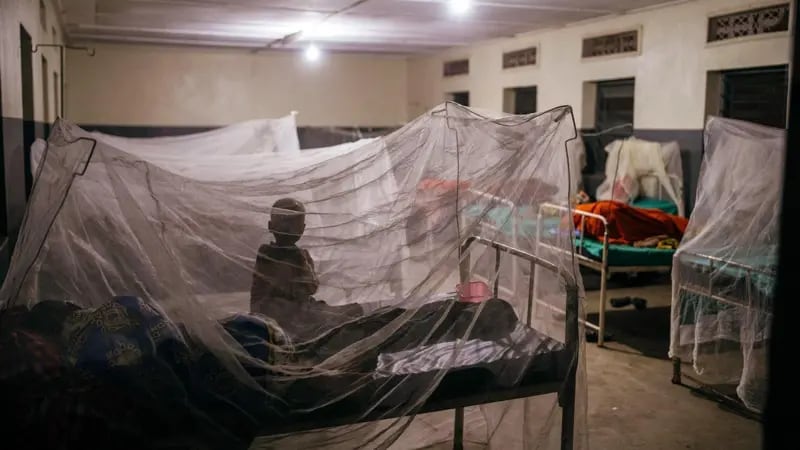 Los pacientes a menudo se someten a prácticas curativas tradicionales antes de llegar al hospital, según los médicos