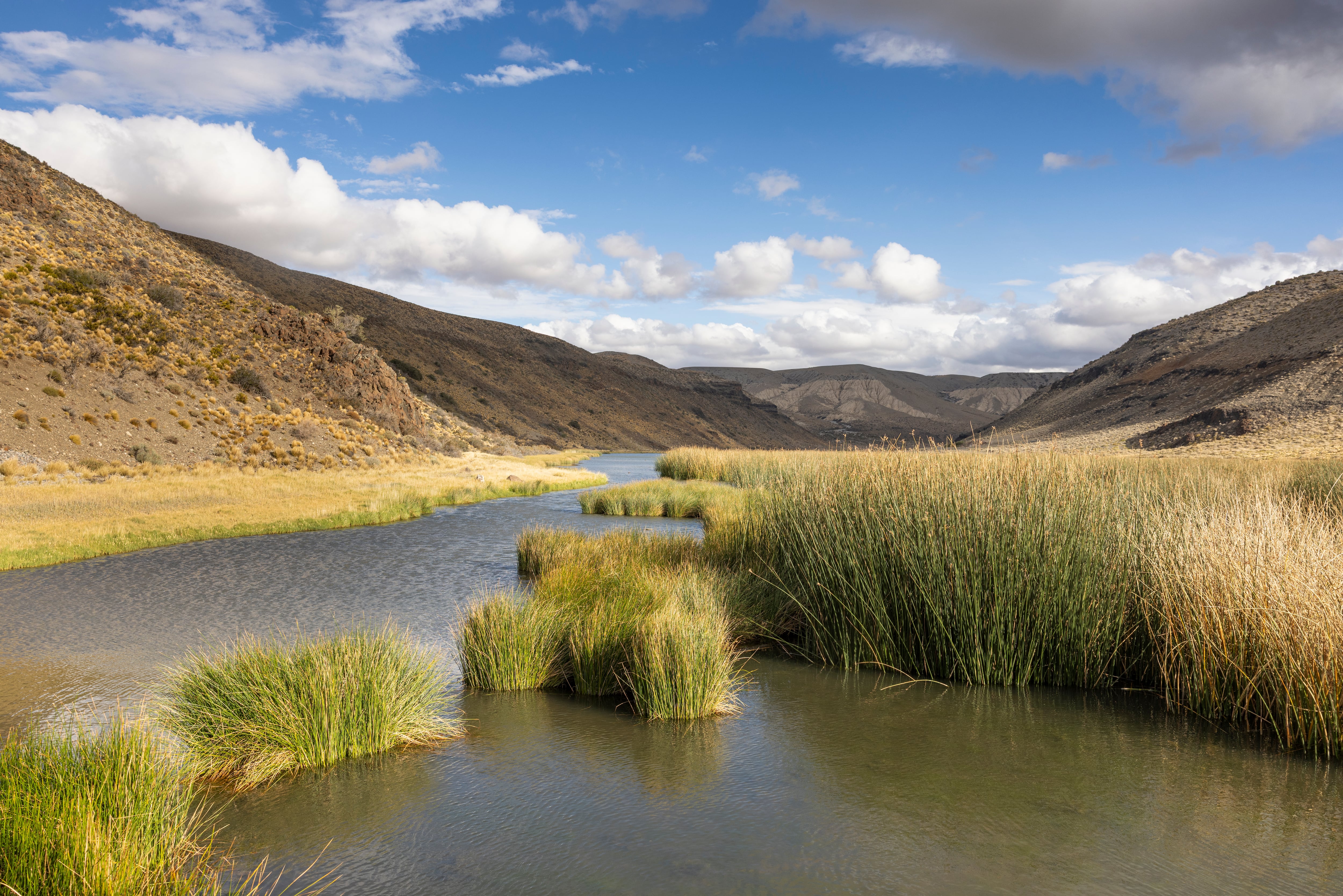 Uno de los humedales recuperados por Rewilding Argentina en la estación biológica El Unco