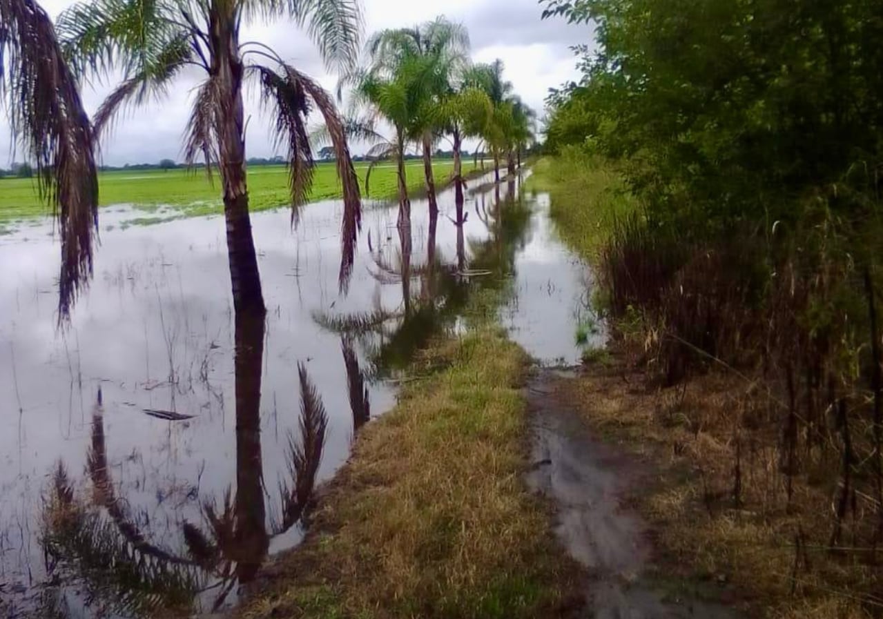 En algunas localidades, como La Madrid, el agua inundó sectores del pueblo y obligó a evacuar familias tras lluvias de gran intensidad