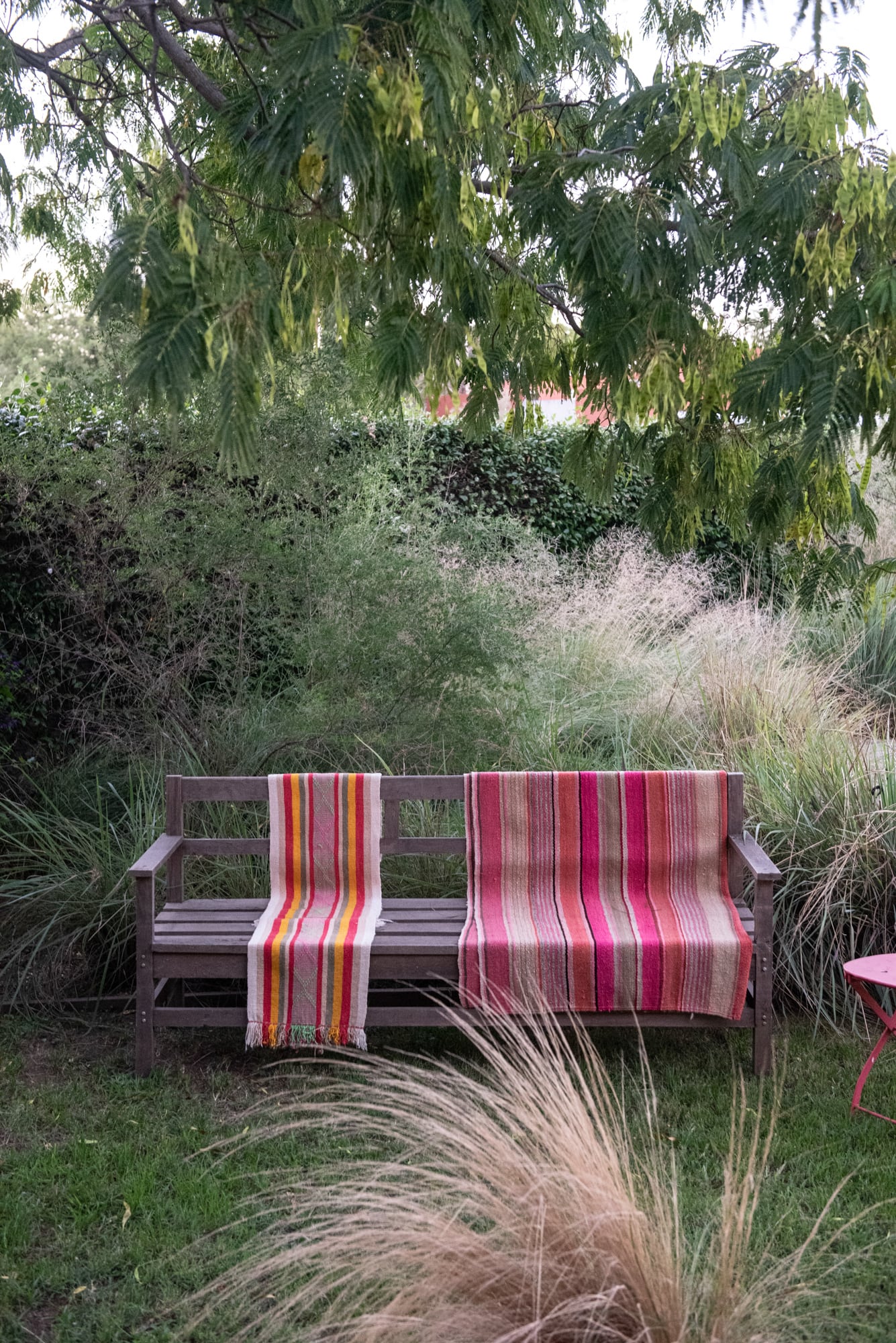 Arboles, arbustos y gramíneas como aliados para diseñar confort