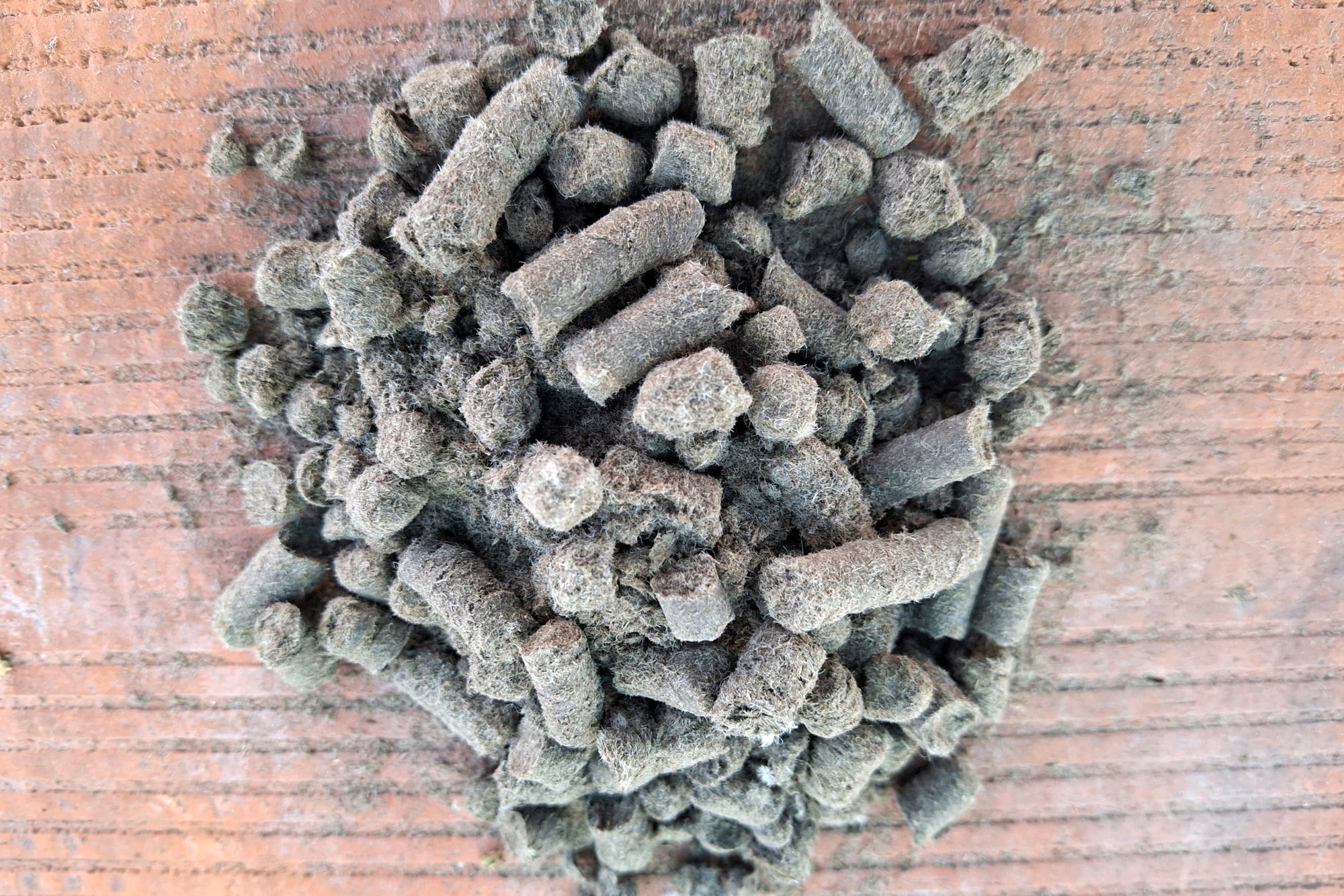 Alrededor de las raíces o mezclados con el sustrato, los pellets encuentran las condiciones para comenzar a transformarse