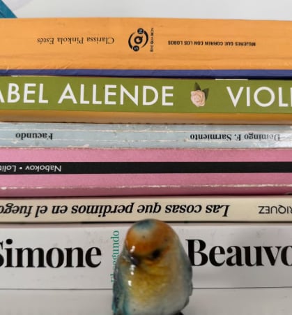 Los libros que lee Ámbar (Foto: @ambardebenedictis)