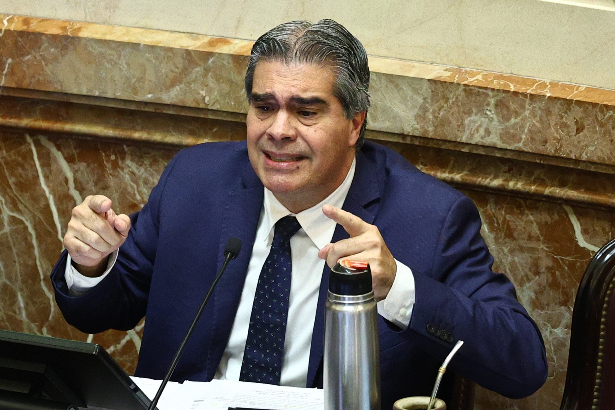 El chaqueño Jorge Capitanich