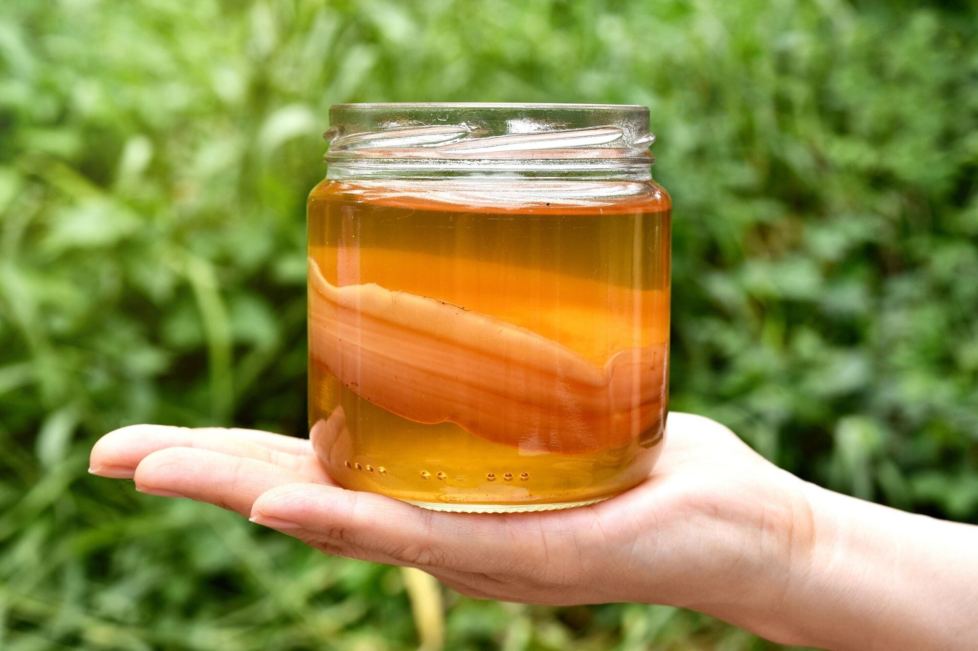 Kombucha: La Bebida Fermentada Que Promete Aumentar Años De Vida Y Ayudar A Bajar De Peso