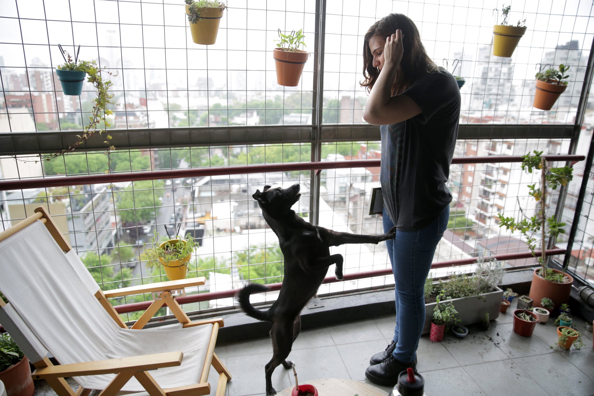 Estar pendiente a la mascota es una demostración de empatía por sus necesidades