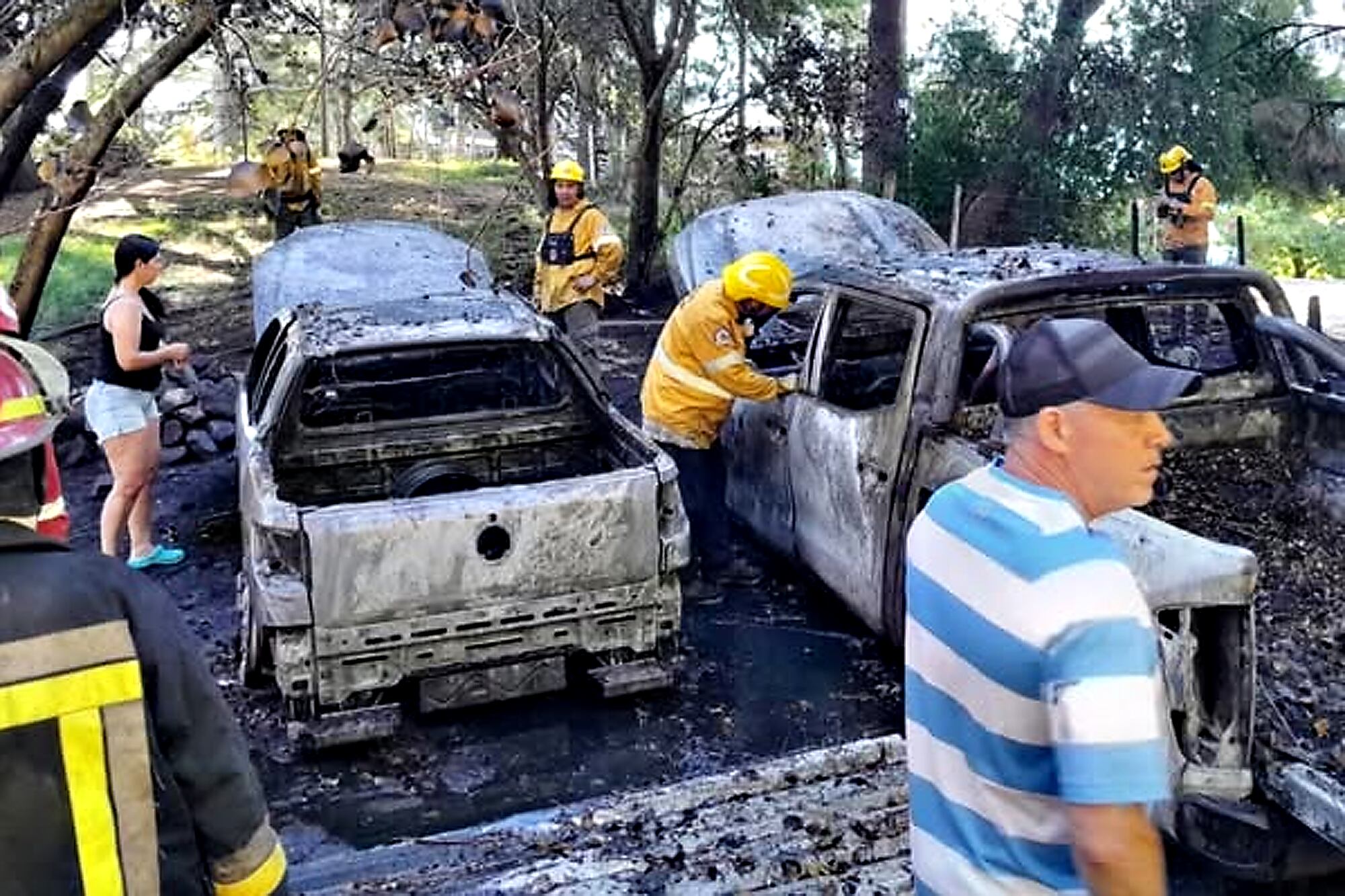 En Villa Pehuenia, ayer el fuego afectó dos camionetas, un galpón y algunos árboles