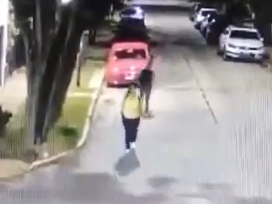 La sorprendió de atrás con una patada salvaje y la tiró al piso para robarla