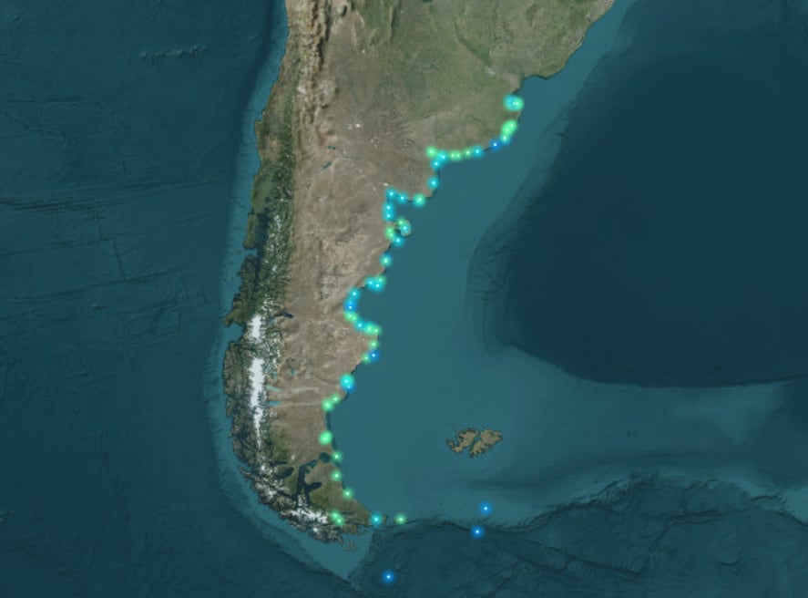 El mapa con las áreas protegidas que elaboraron los científicos (Captura: AMP Argentina)