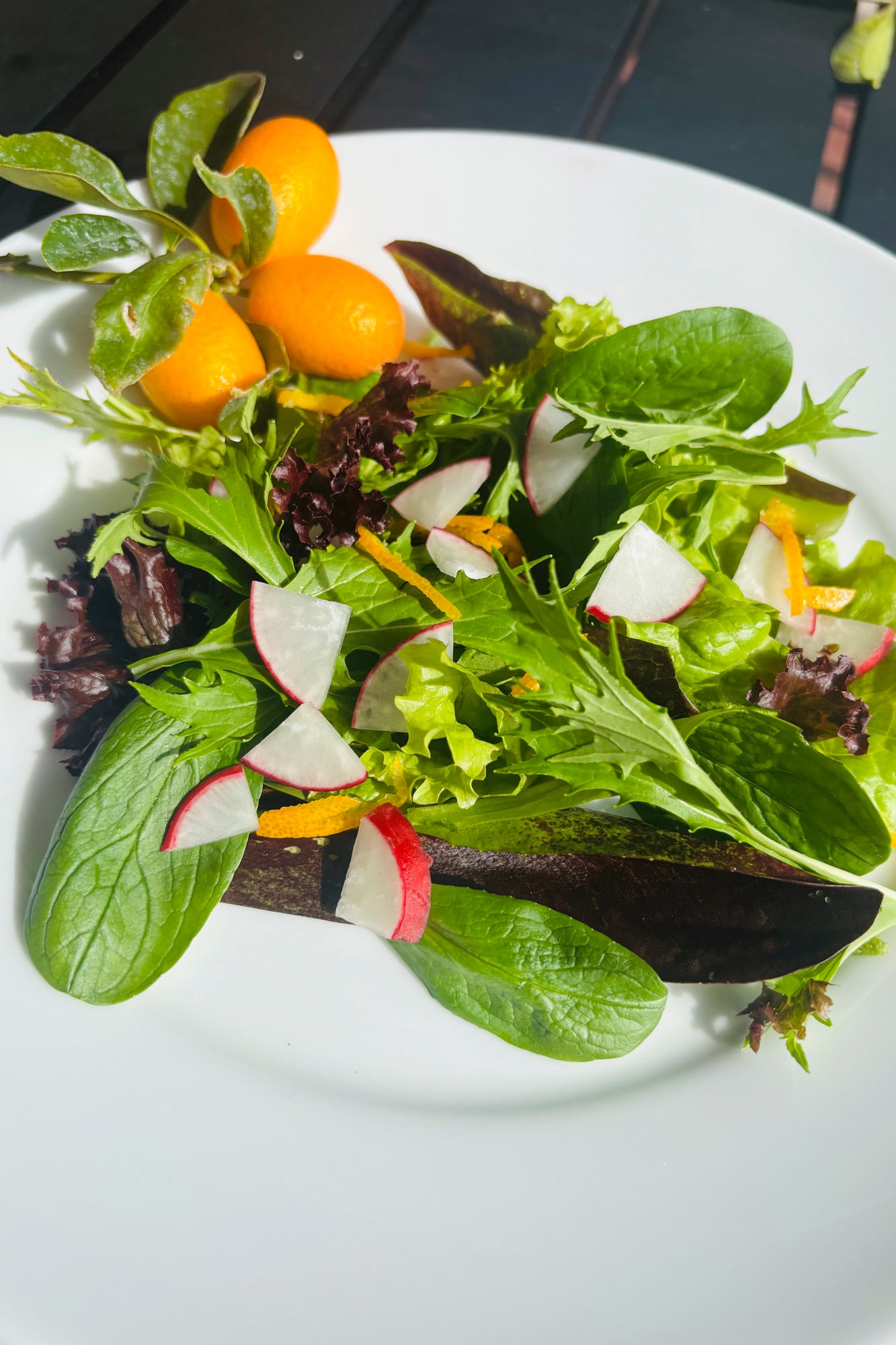En una ensalada con verdes y quinotos, lista para su consumo