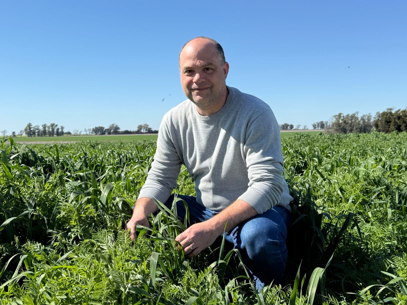 Para Marcelo Beltrán, investigador del Instituto de Suelos de INTA Castelar, productividad y sustentabilidad no van por caminos separados: “Si se hacen bien los deberes, la regeneración va de la mano con una mayor productividad”