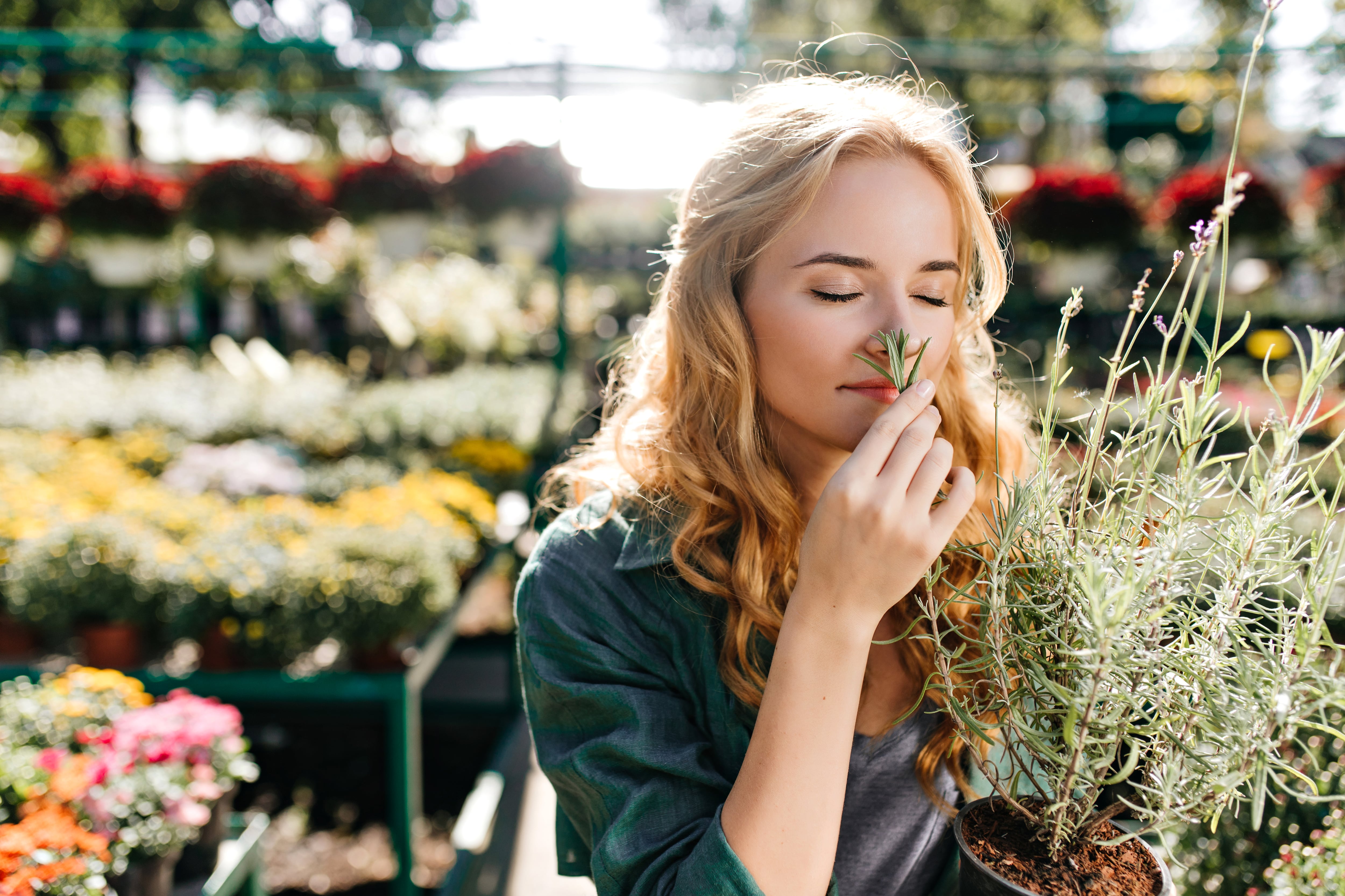 La Poliposis Nasal es una enfermedad que también causa la pérdida del olfato