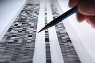 Un estudio logró identificar un gen propio de los argentinos