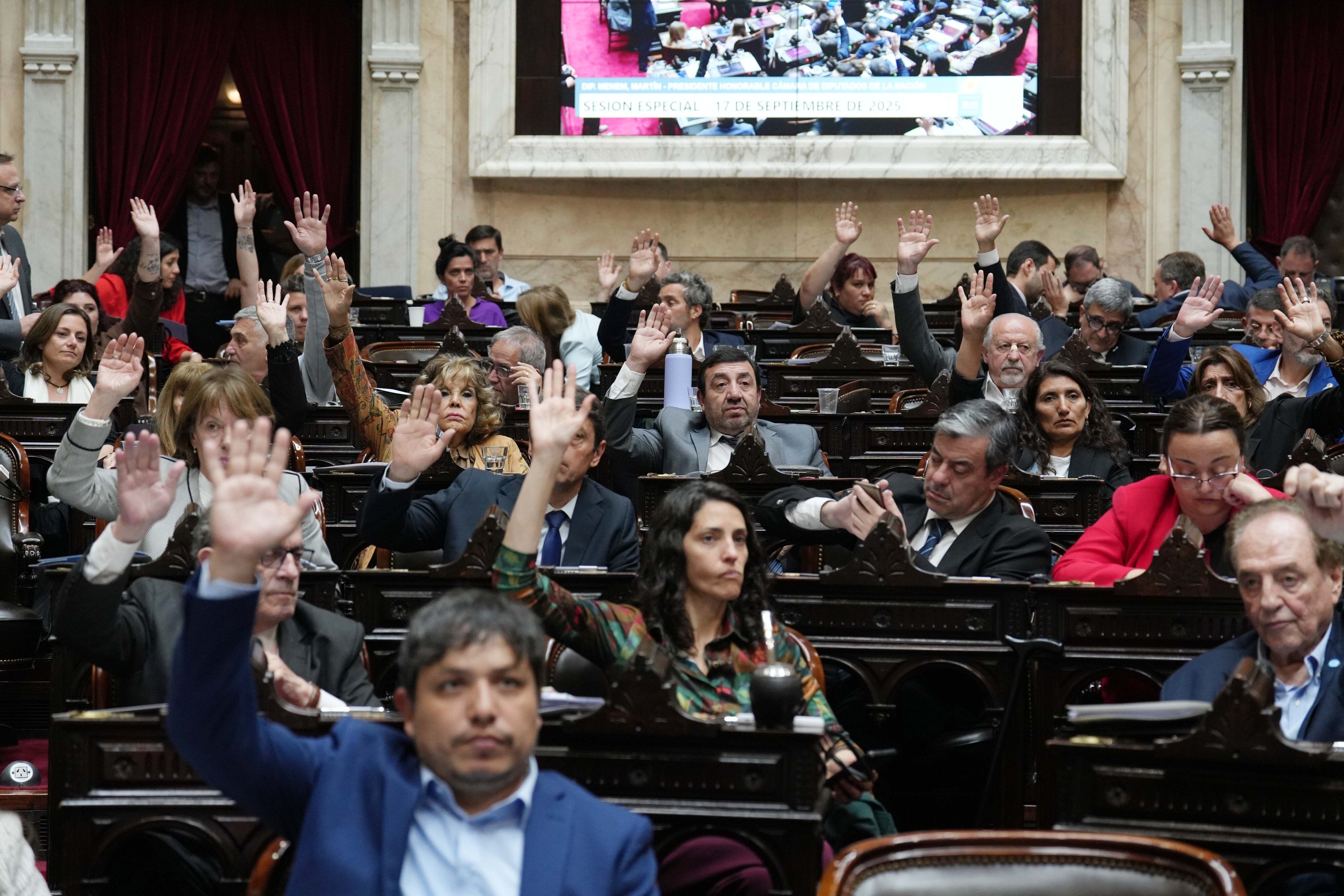 Los diputados aprobaron, a mano alzada, la creación de una comisión investigadora sobre el fentanilo contaminado.
