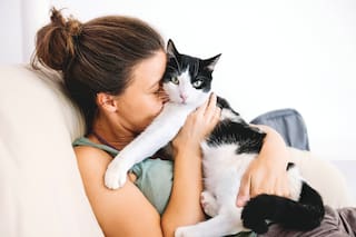 Mascotas. Cómo y por qué adoptar en lugar de comprar