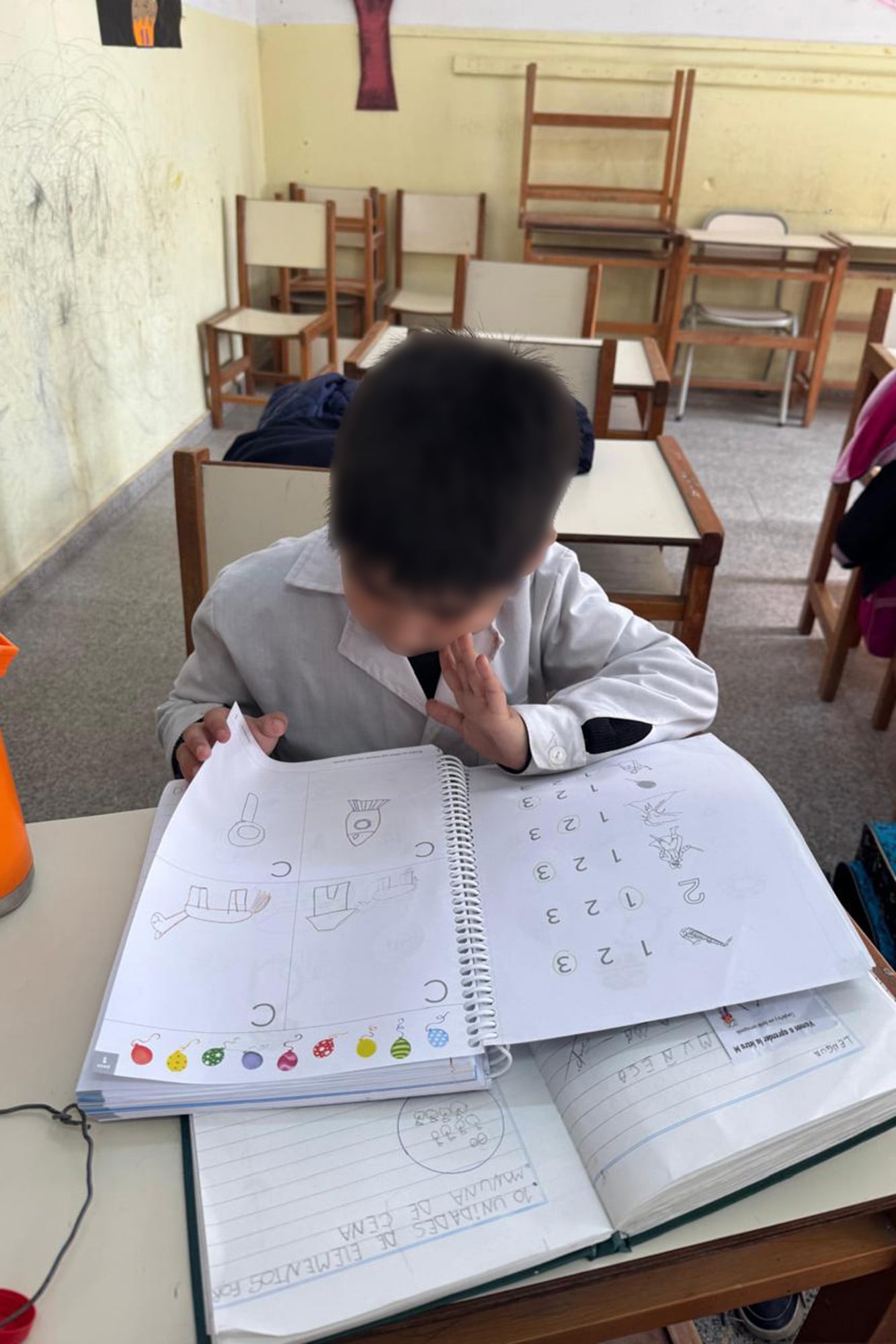 "Si uno hace esto, puede cambiar los resultados": el programa que logra que chicos de Chaco mejoren en lectura y comprensión