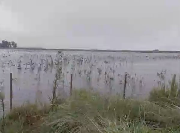 Carbap pidió respuestas urgentes ante un escenario que ya afecta producción y vida cotidiana