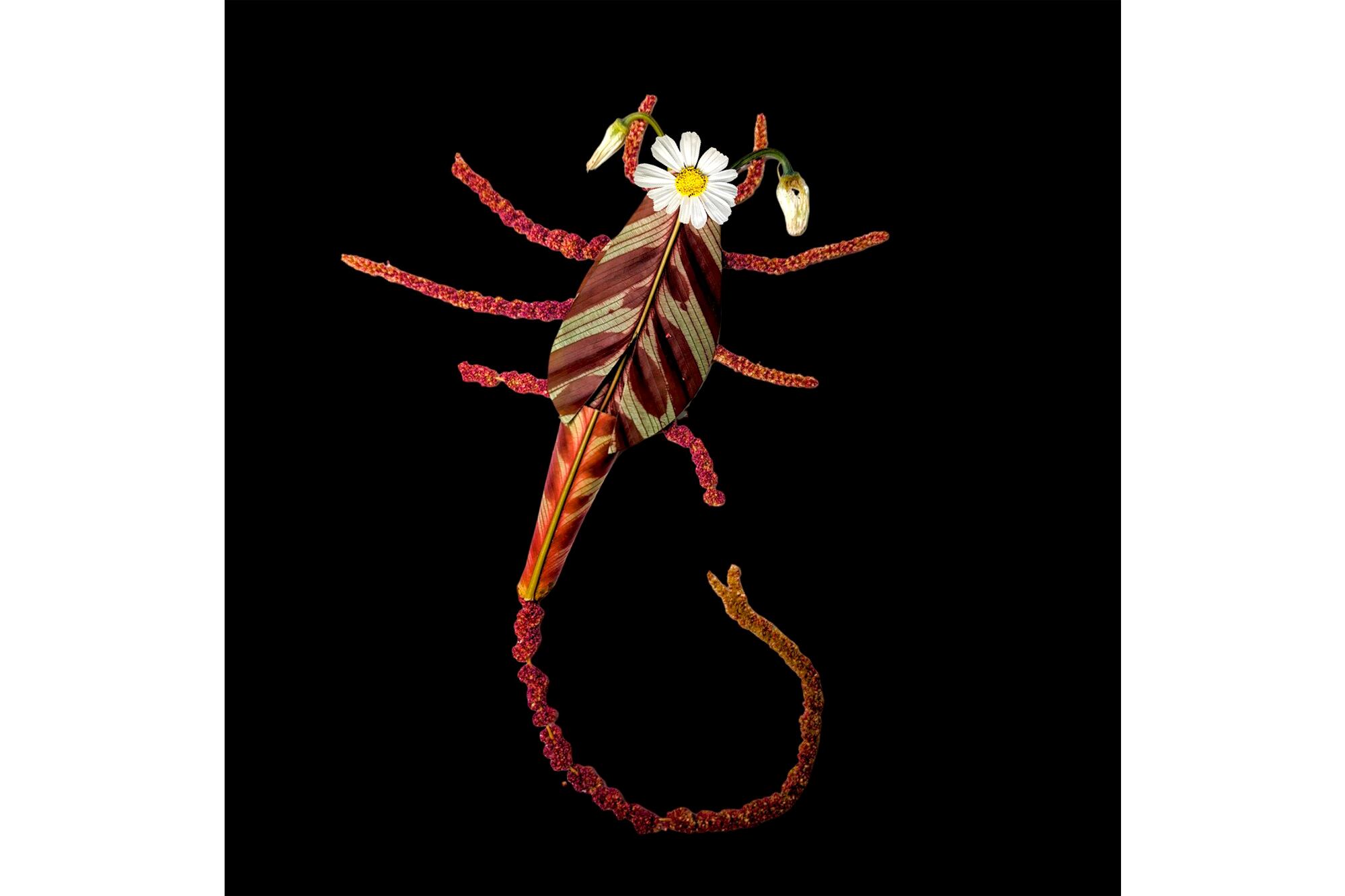 El universo animal de Tambi Flower, desde su florería, rodeado de hormigón.