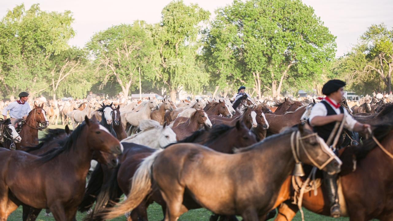 Entrevero de tropillas: San Antonio de Areco celebra los 100 años de Don Segundo Sombra