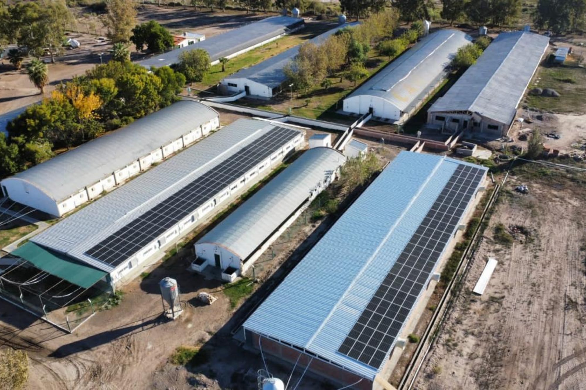 La empresa no renovó 80 contratos y frenó su proyecto de expansión
