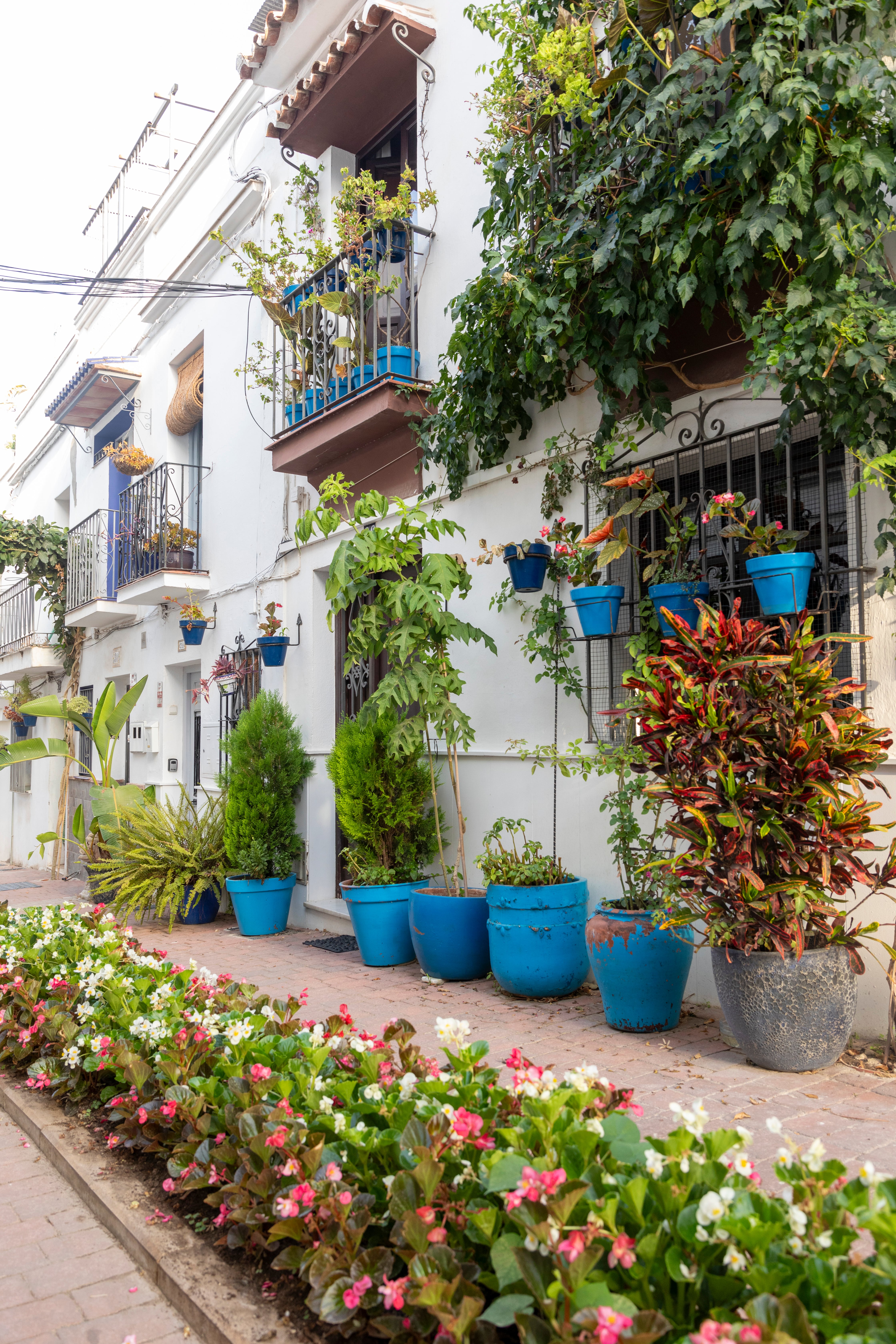 En su callecitas angostas cuelgan macetas con geranios y hay pérgolas llenas de buganvillas
