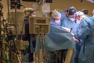 Cómo se hace un trasplante: 6 horas junto al equipo del Hospital Italiano