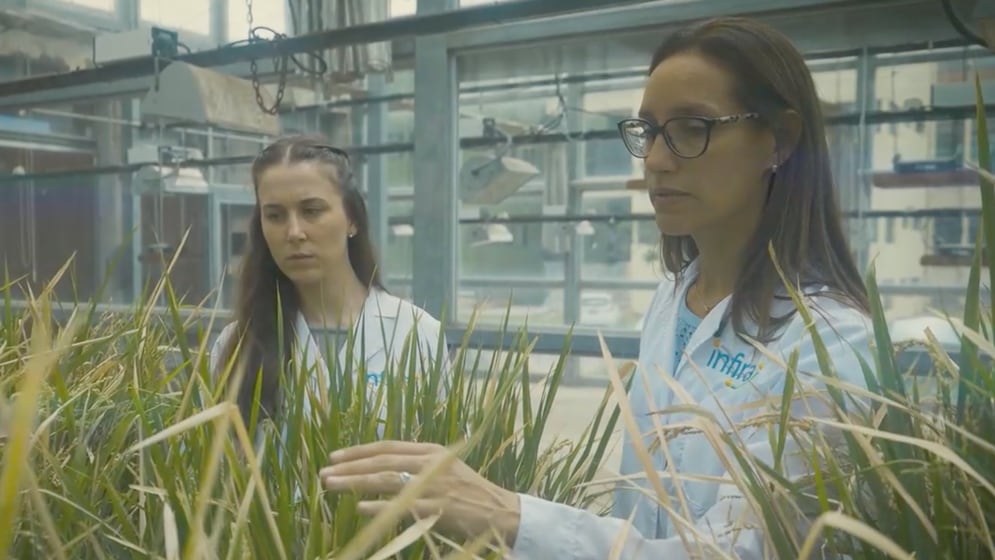 Reinheimer es investigaora del Conicet en el Instituto Agrobiotecnología del Litoral y cofundadora y CEO de Infira