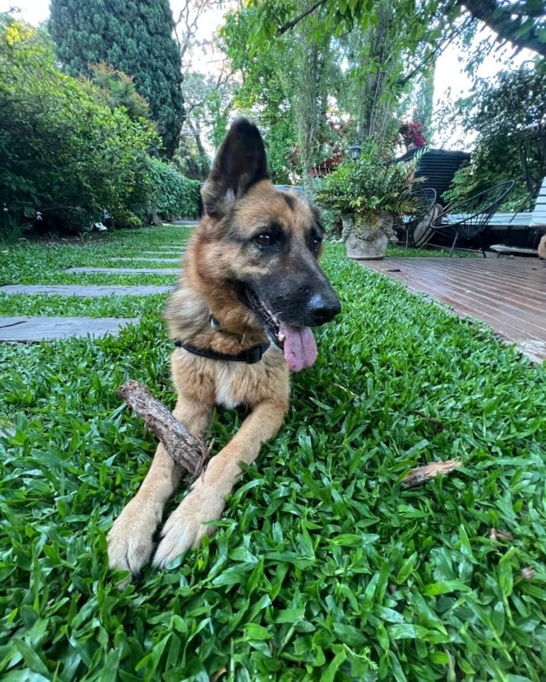 Bangoo en su casa. Es fanática del jardín.