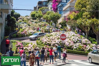 Una de las postales más icónicas de San Francisco tiene su origen en el paisajismo y el trabajo de los vecinos
