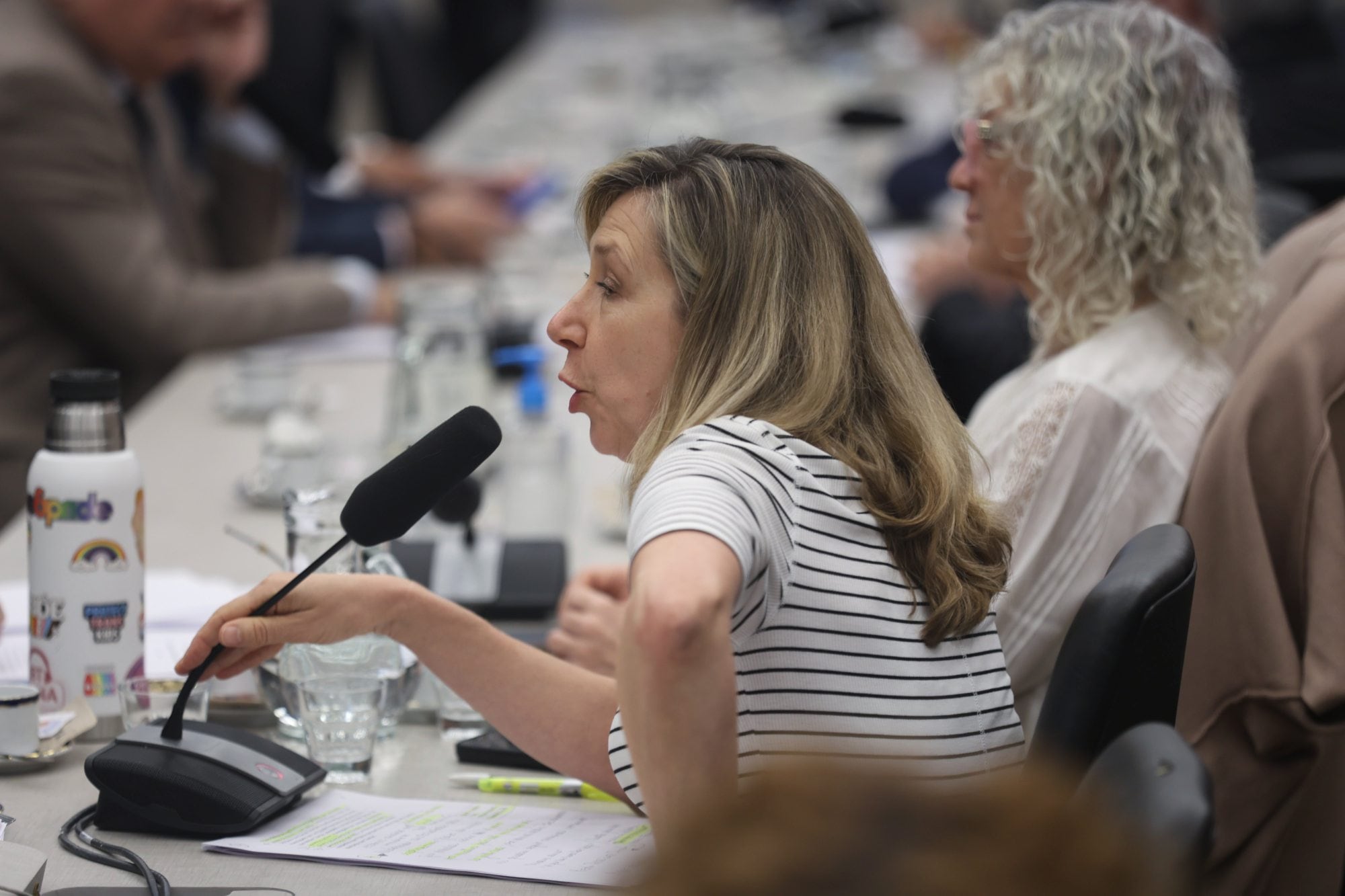 Myriam Bregman participó del debate en el plenario de comisiones