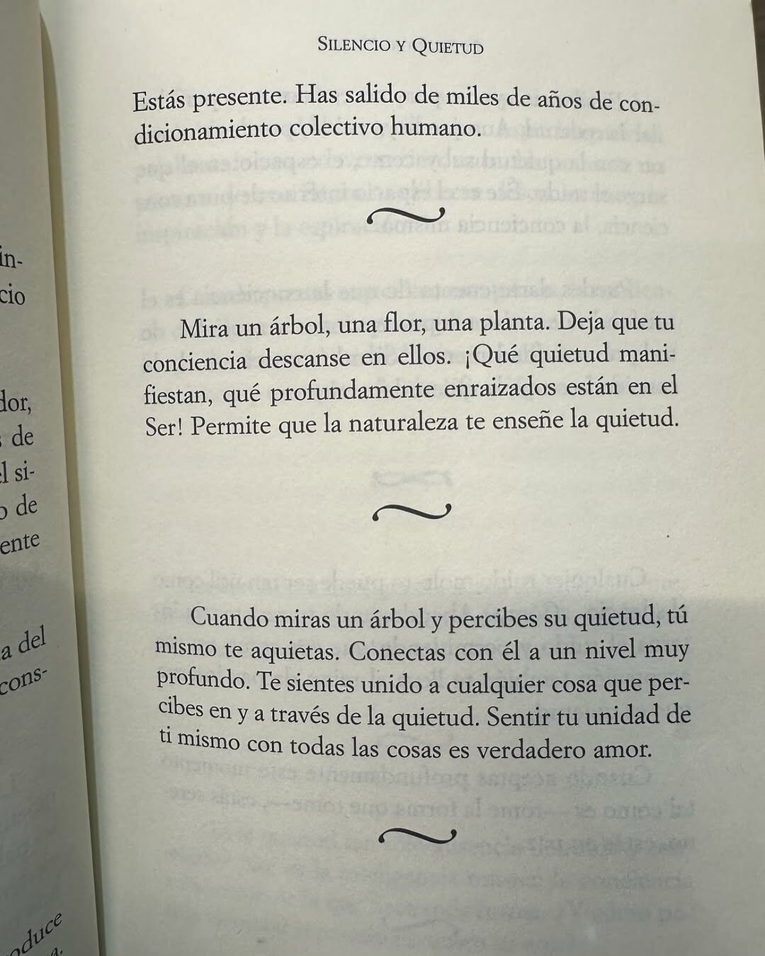 Anderson compartió un fragmento del libro que estaba leyendo (Foto: Instagram @evangelinaanderson)