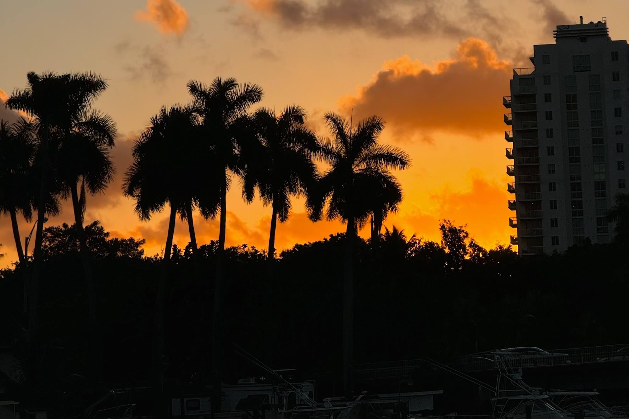 En Miami y el sudeste se esperan máximas de 73–75°F (23–24°C) y mínimas cerca de 64°F (18°C)