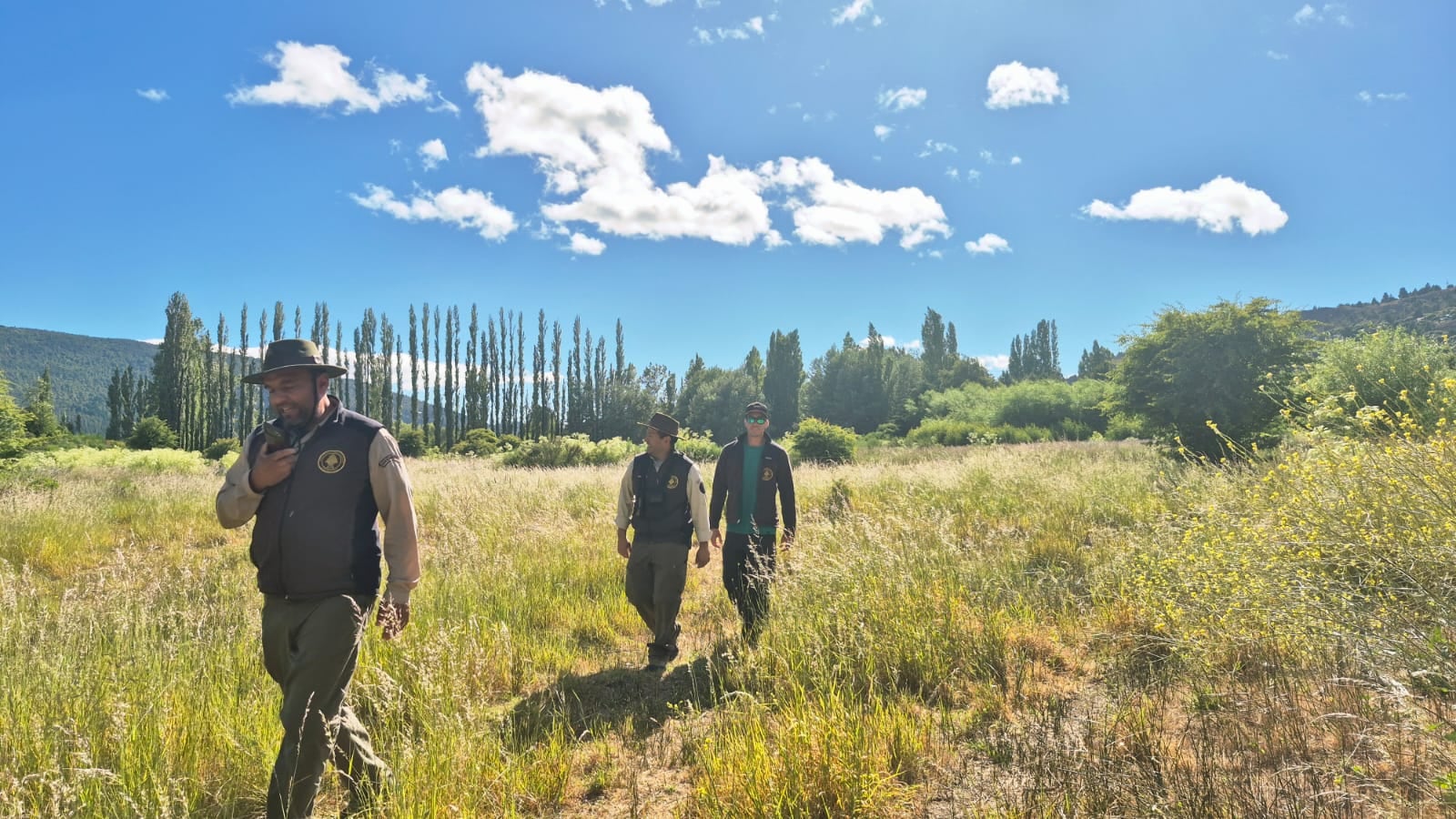 Las autoridades consiguieron conducirlo a un predio vallado