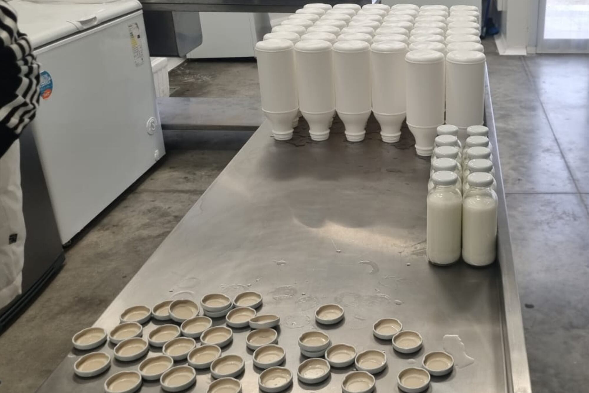 La leche de burra tiene un perfil proteico similar al de la leche materna humana, ideal para niños con APLV