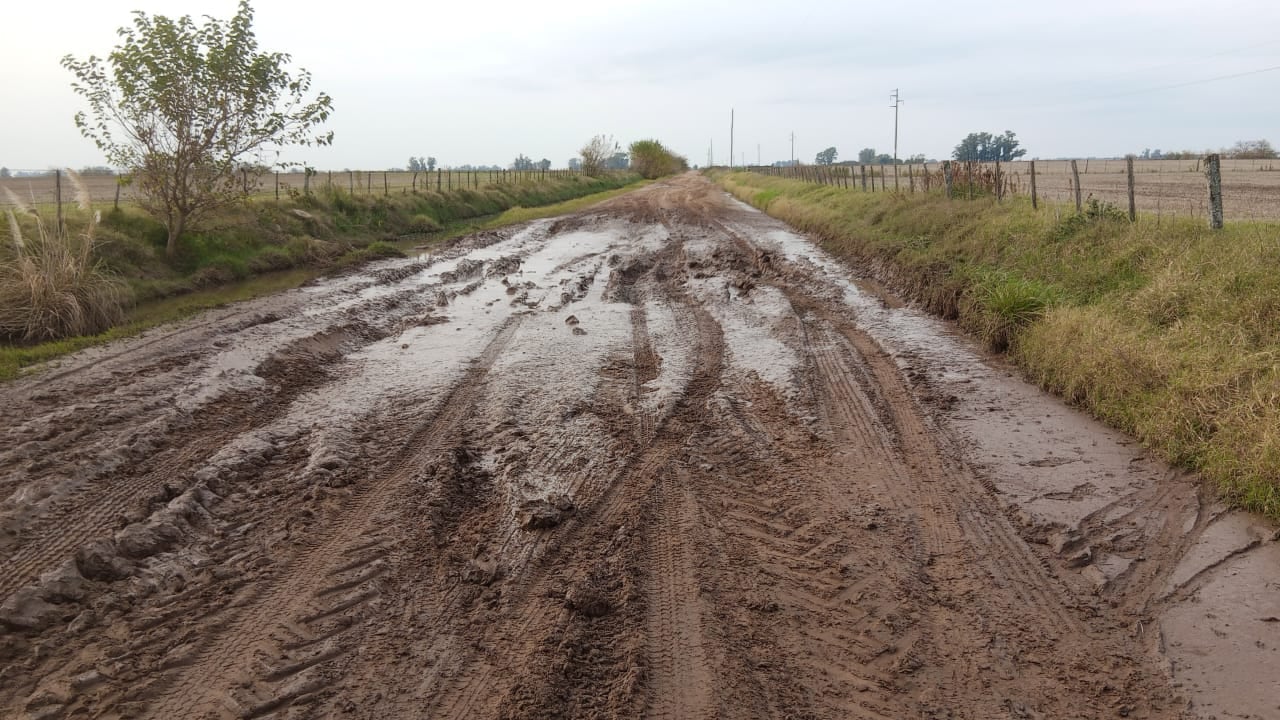 La iniciativa propone crear una Comisión Vial Rural que administre la mayor parte de los recursos de la tasa vial y planifique las obras de caminos e infraestructura hidráulica