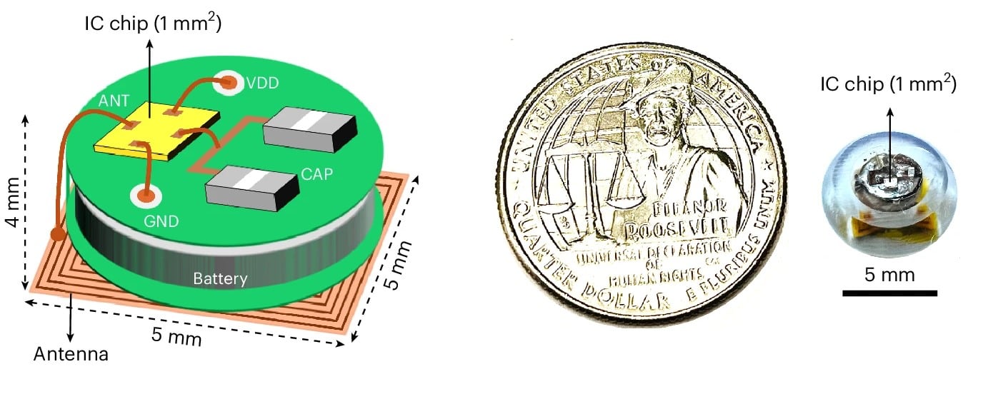 El termómetro en forma de píldora diseñado por el MIT