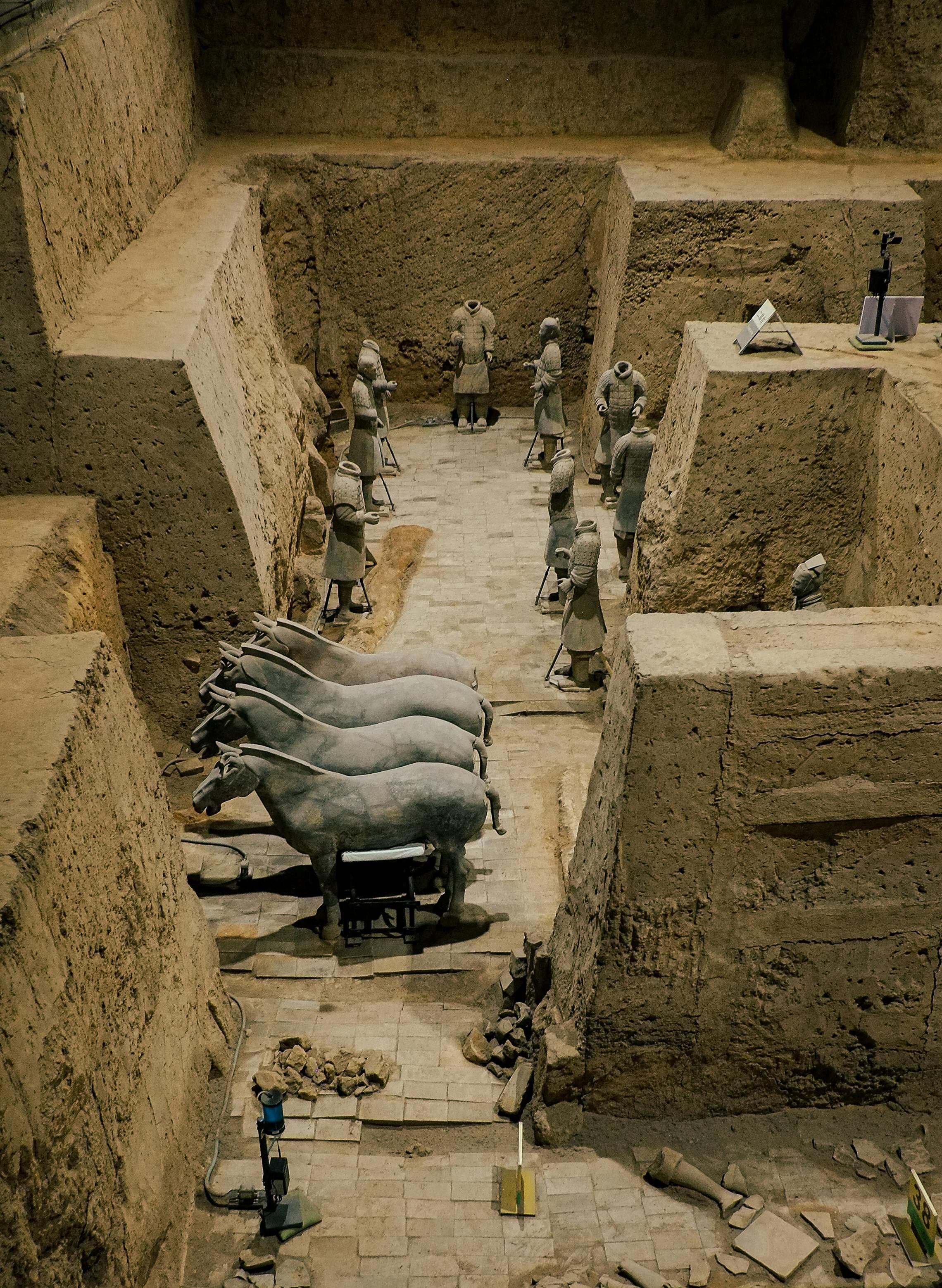 El caballero de alto rango descubierto es importante por su armadura particular y los detalles significativos diferentes al resto del ejército, señalaron los expertos