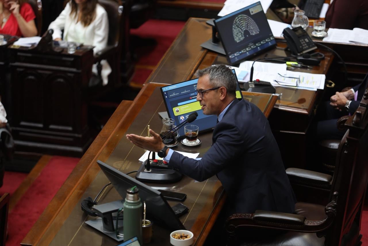 El presidente de Diputados, Martín Menem