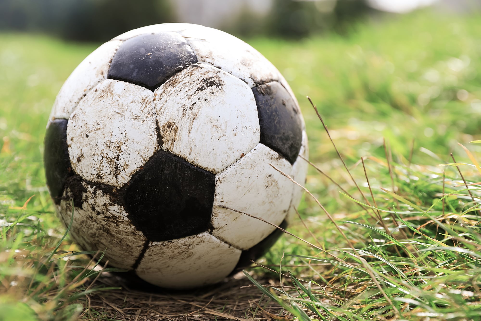 El dueño de la pelota