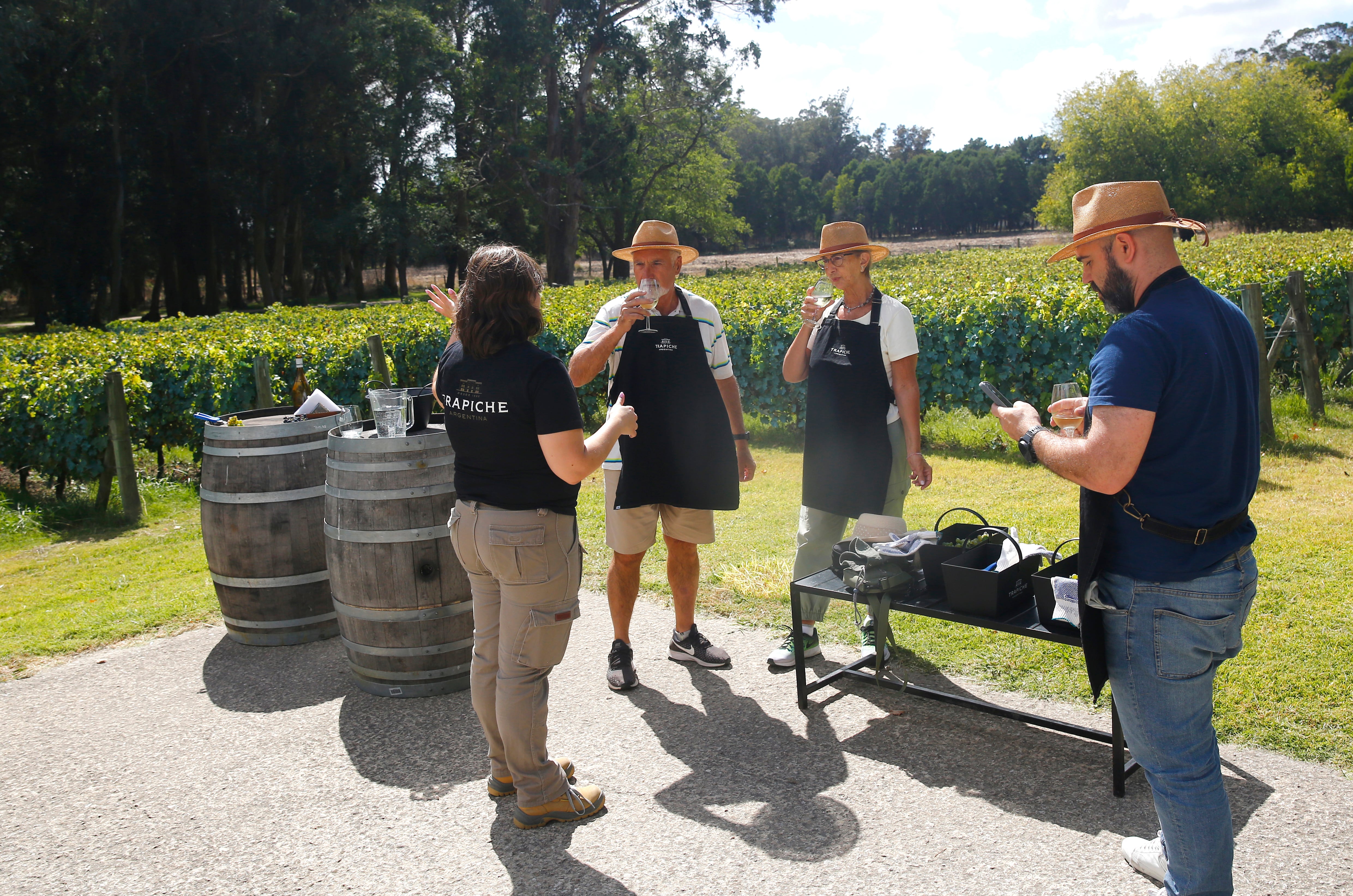 La cosecha participativa en Costa & Pampa incluye la degustación de vinos