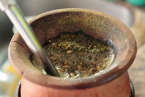 La yerba mate confirmó su buen momento y en 2023 el consumo superó los 325 millones de kilos