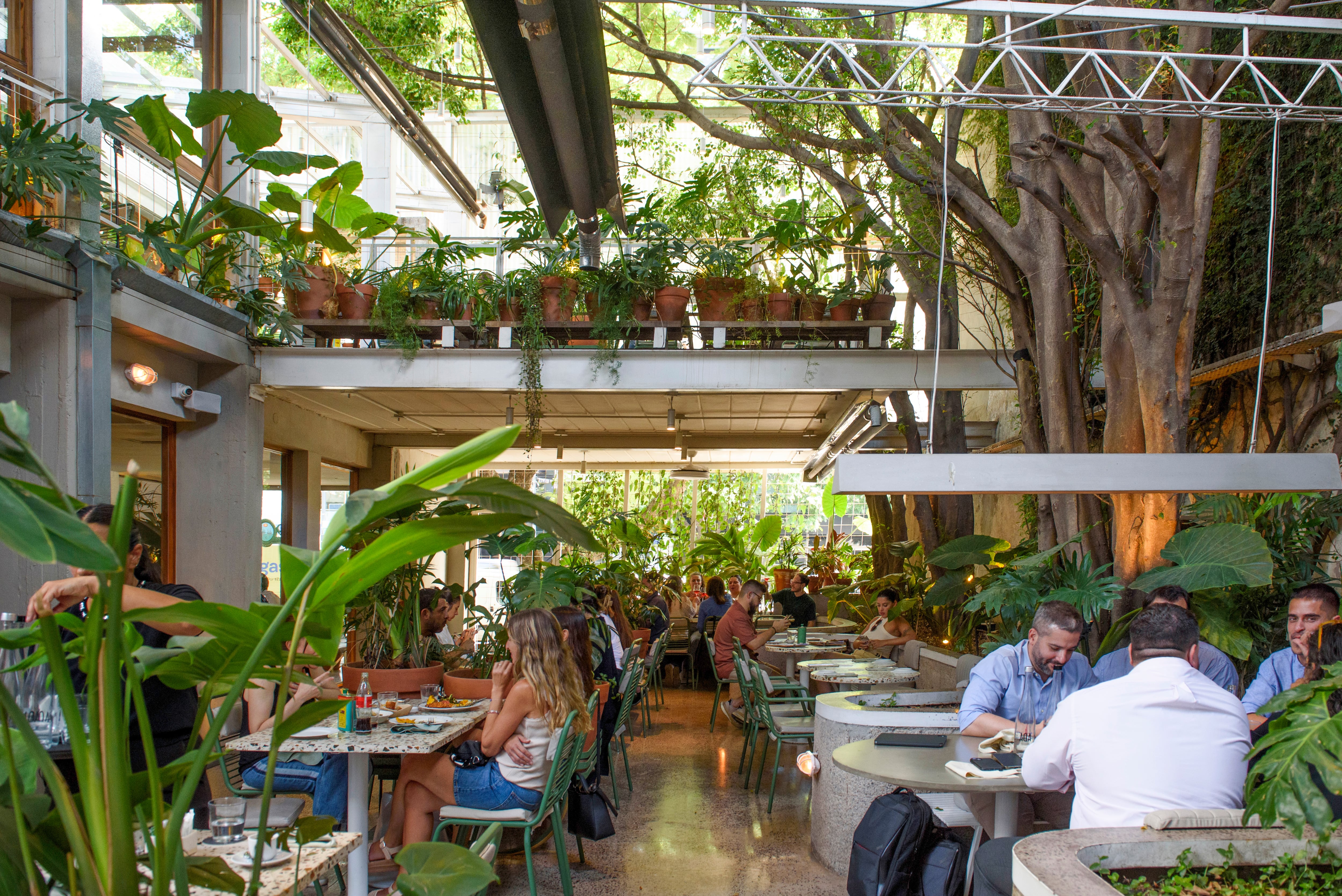 Las plantas son protagonistas de Aire Libre