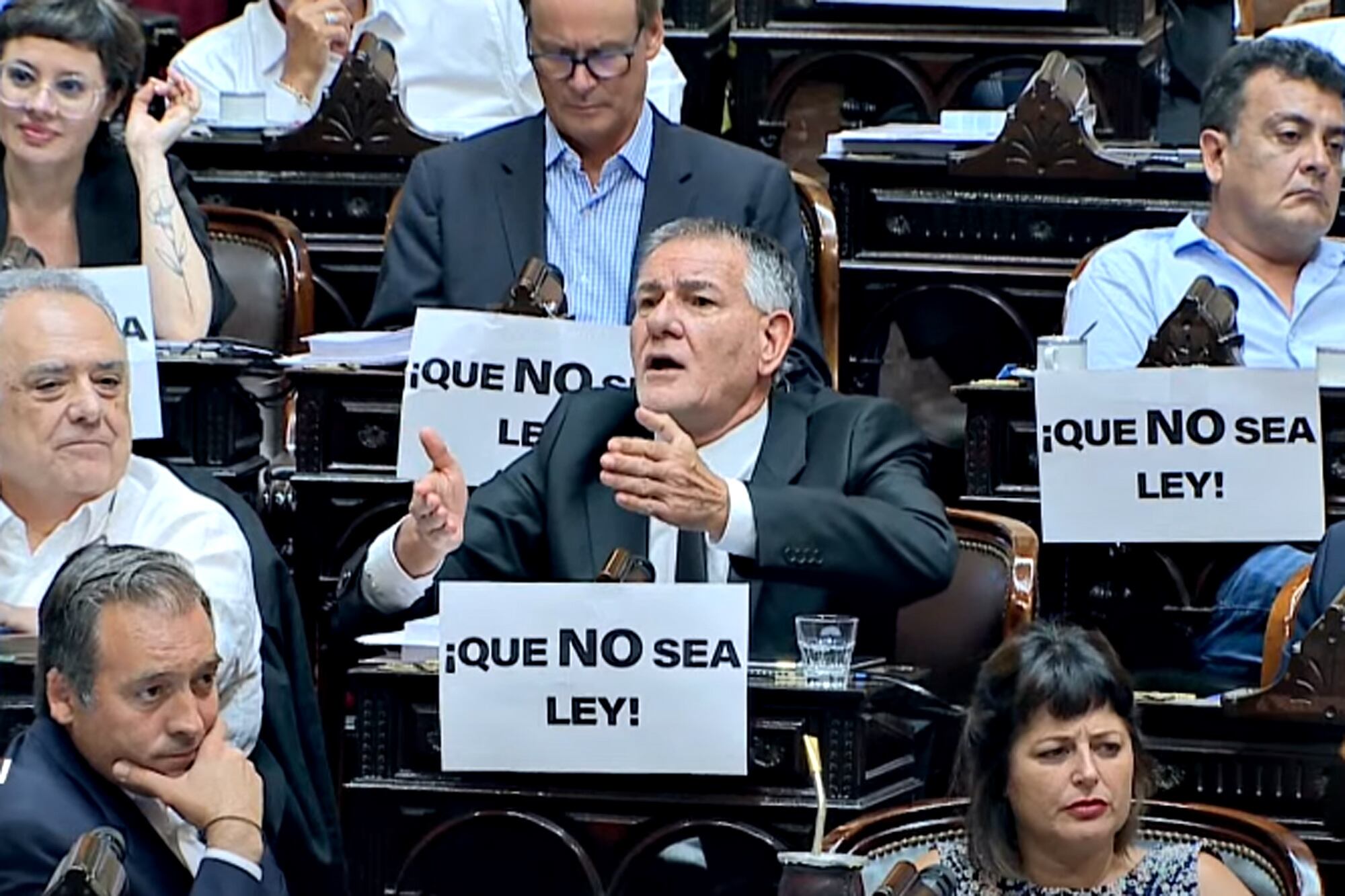 El diputado Carlos Castagneto