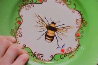 "Solo yo lavo los platos": la increíble colección de un amante de la vajilla