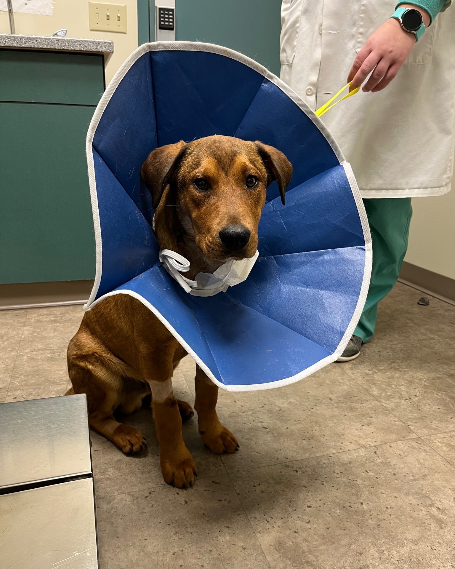 La cirugía duró 4 horas.