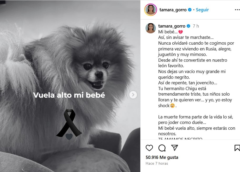 El posteo de Tamara Gorro