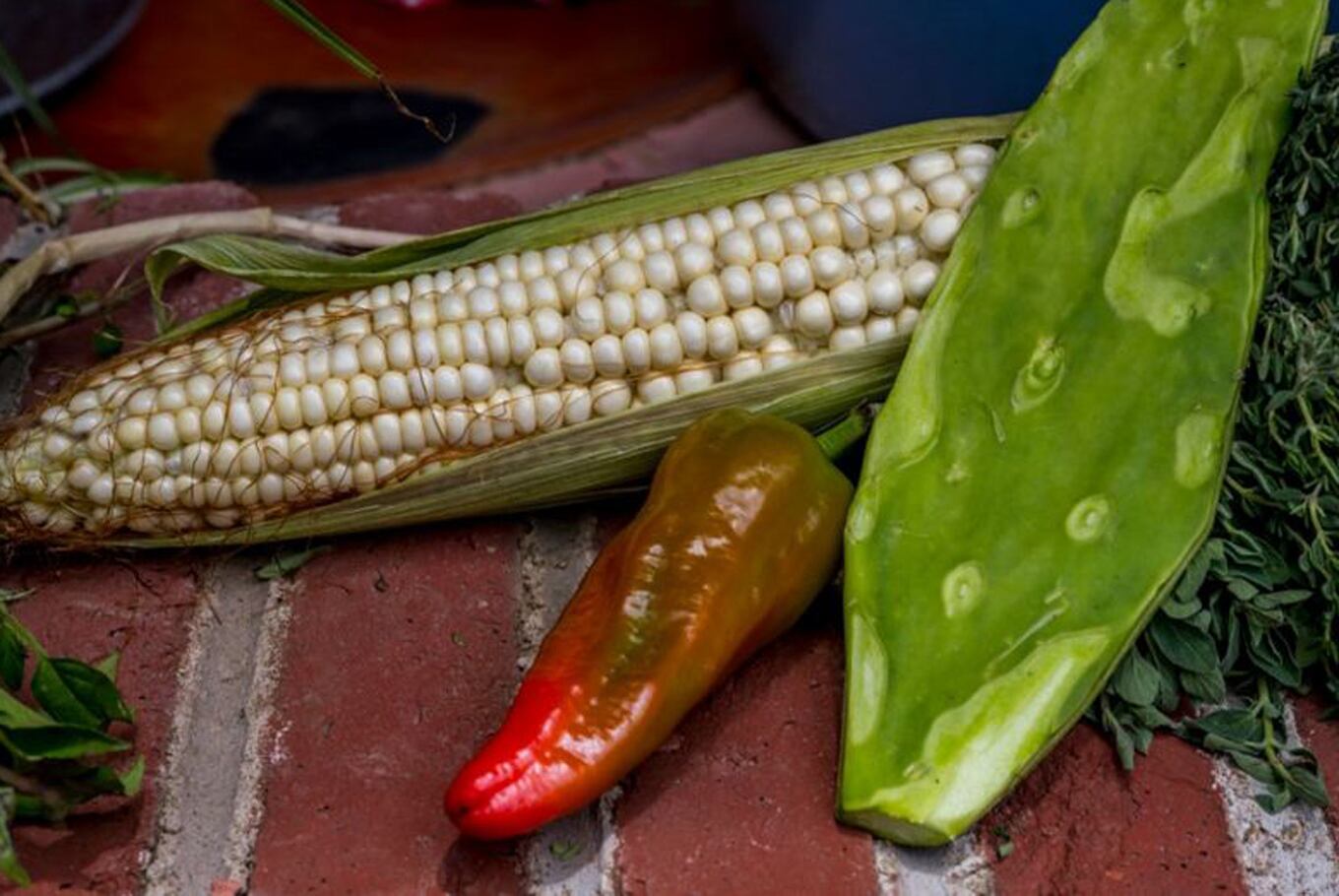 Estudios recientes sugieren que comer nopales podría ser bastante bueno para las personas que padecen diabetes