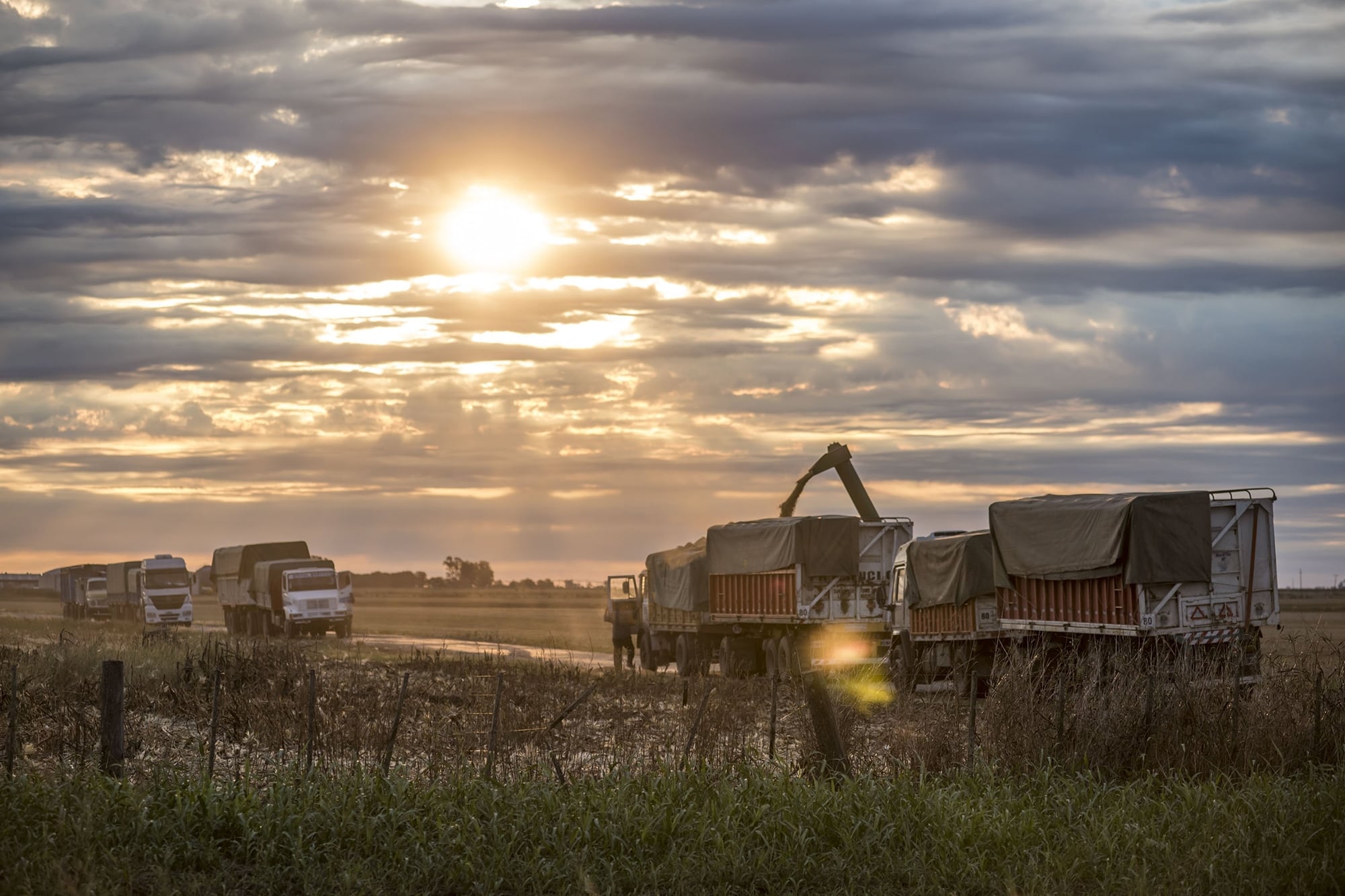 Sorpresas que son bienvenidas aunque sean exiguas