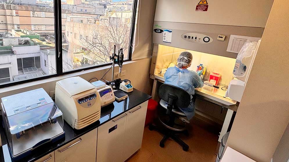 Una de las autoras de la investigación mientras procesa muestras en el laboratorio (Foto: CONICET)