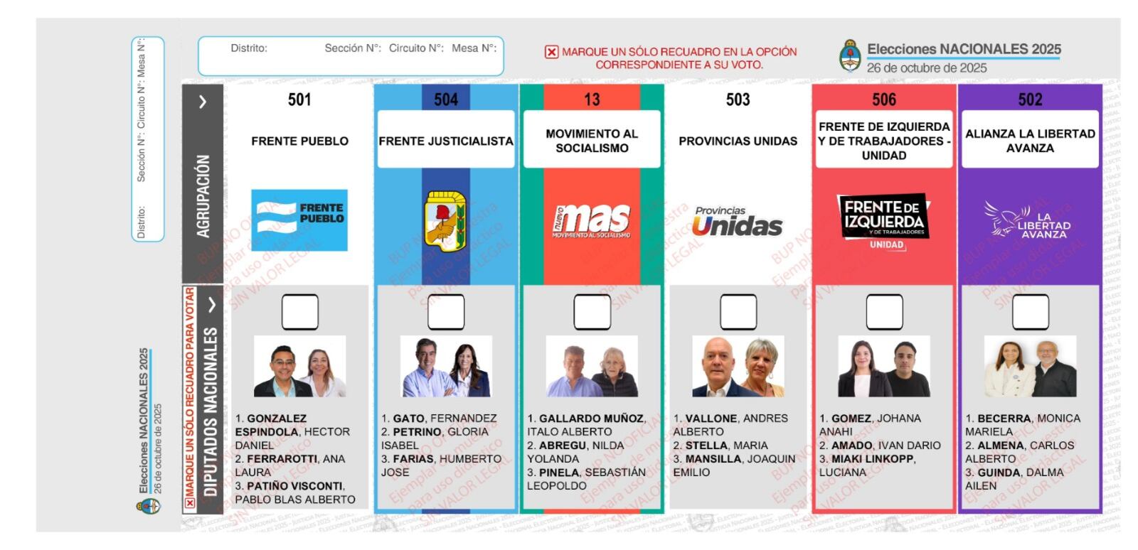 La boleta de San Luis