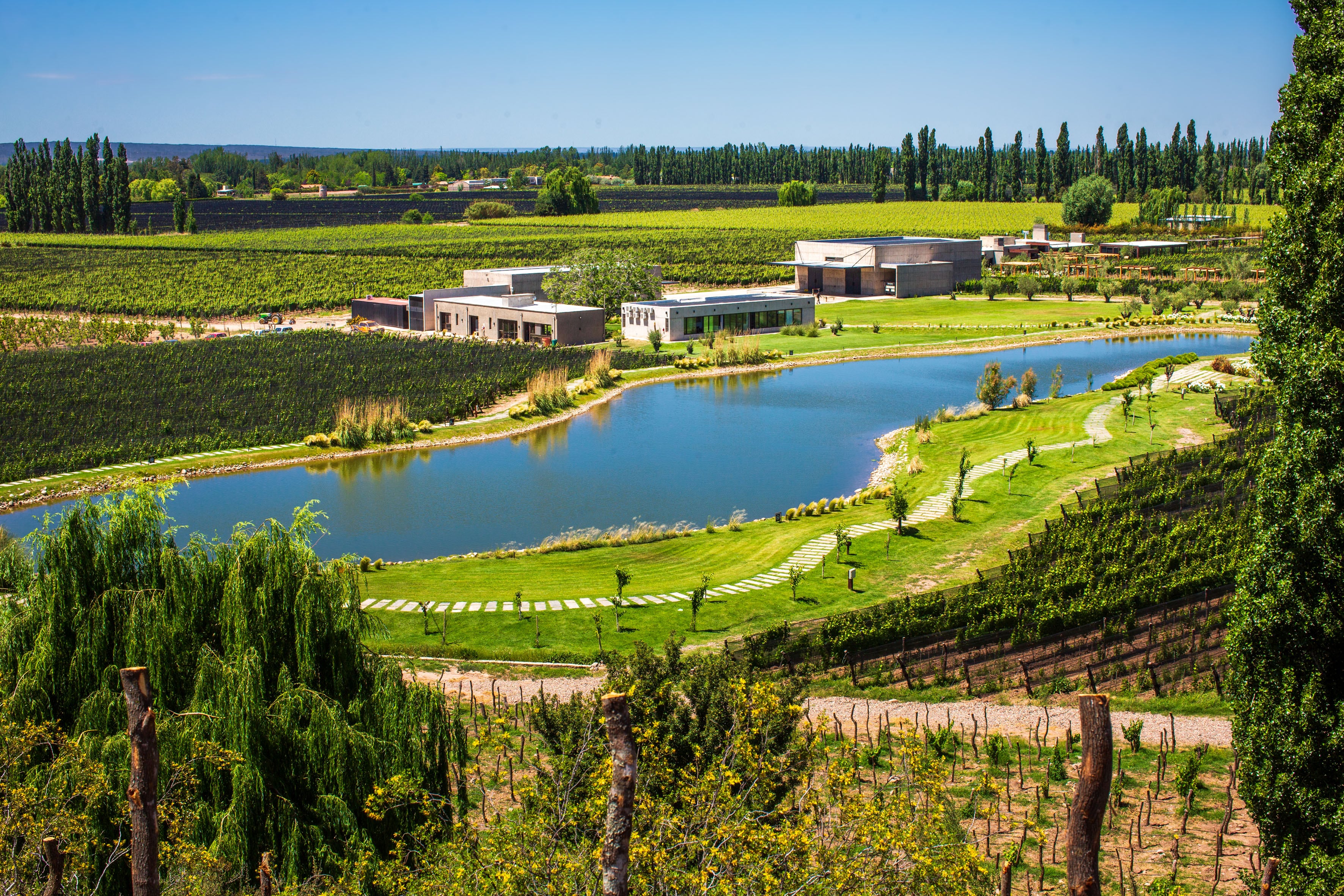 World’s Best Vineyards. Cuáles son las 7 bodegas argentinas destacadas entre las 50 mejores del mundo